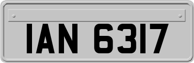 IAN6317