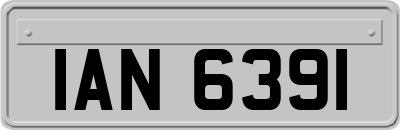 IAN6391
