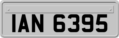 IAN6395
