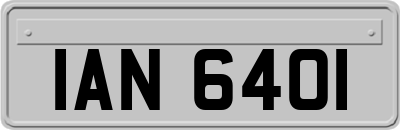 IAN6401