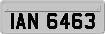 IAN6463