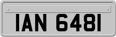 IAN6481