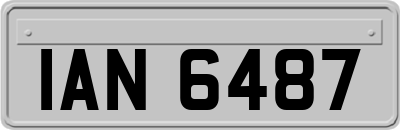 IAN6487