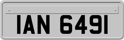 IAN6491
