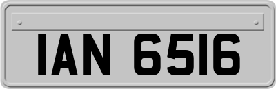 IAN6516