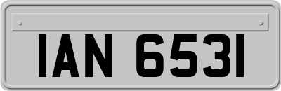 IAN6531