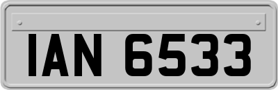 IAN6533