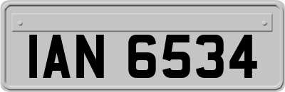 IAN6534