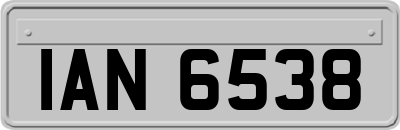 IAN6538