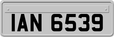 IAN6539