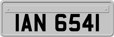 IAN6541