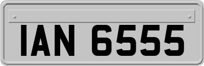 IAN6555