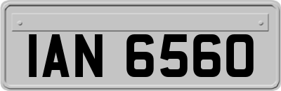 IAN6560