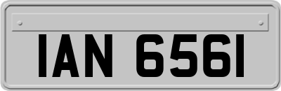 IAN6561