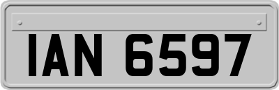 IAN6597