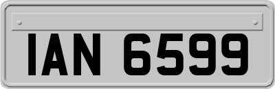 IAN6599