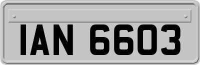 IAN6603