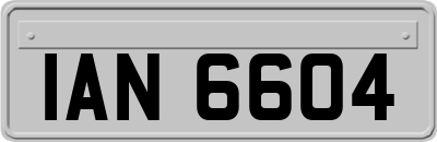 IAN6604