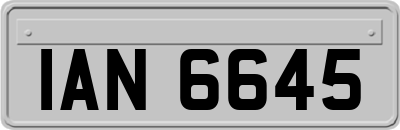IAN6645