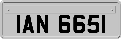 IAN6651