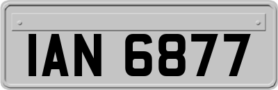 IAN6877