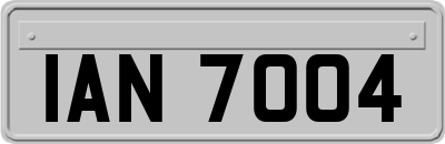 IAN7004