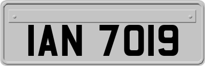 IAN7019