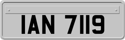 IAN7119