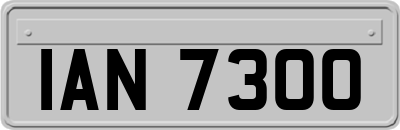 IAN7300