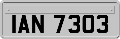 IAN7303