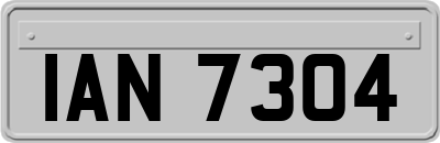 IAN7304
