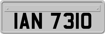 IAN7310