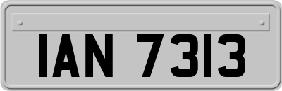 IAN7313