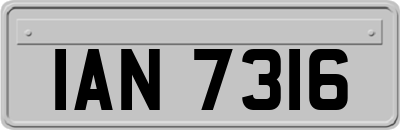 IAN7316