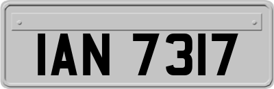 IAN7317