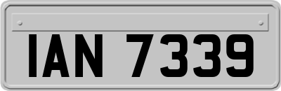 IAN7339