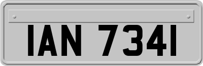 IAN7341