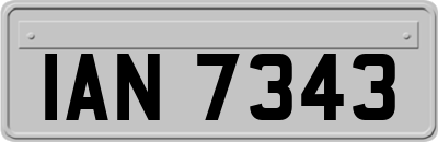 IAN7343