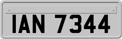 IAN7344