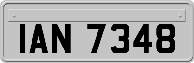 IAN7348