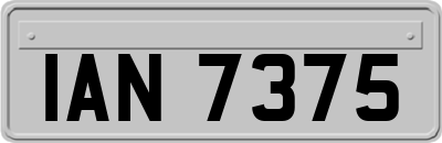 IAN7375