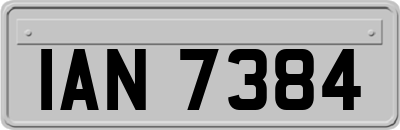 IAN7384