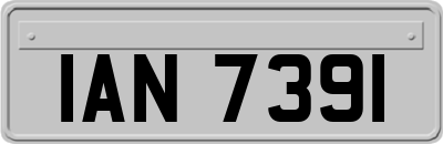 IAN7391