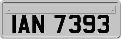 IAN7393