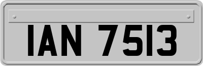 IAN7513