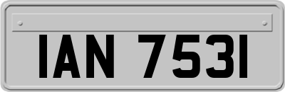 IAN7531