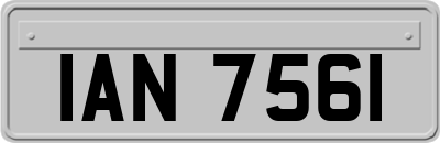 IAN7561