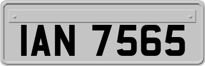 IAN7565