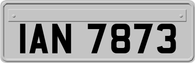 IAN7873