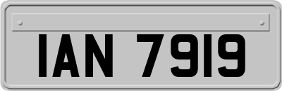 IAN7919